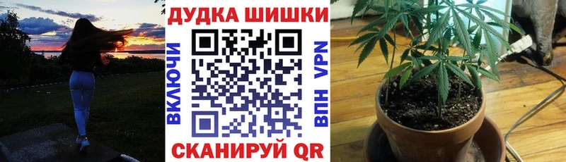 продажа наркотиков  Зима  Канабис MAZAR 